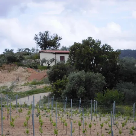 Vigna De' Luceri *