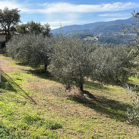 Vigna De' Luceri Apartment *